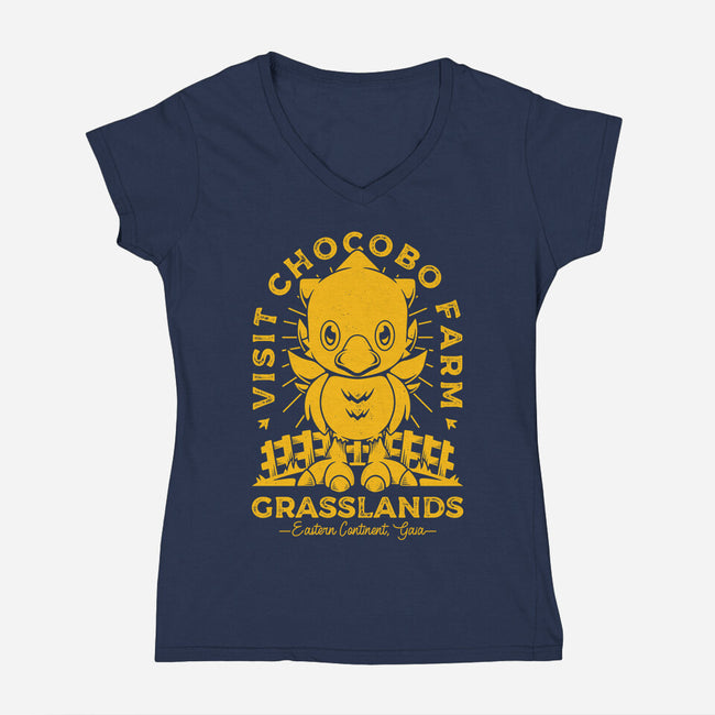 Grasslands Area Farm-womens v-neck tee-Alundrart
