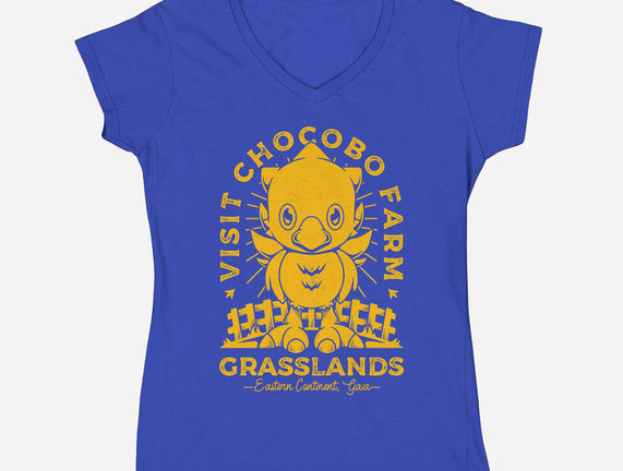 Grasslands Area Farm