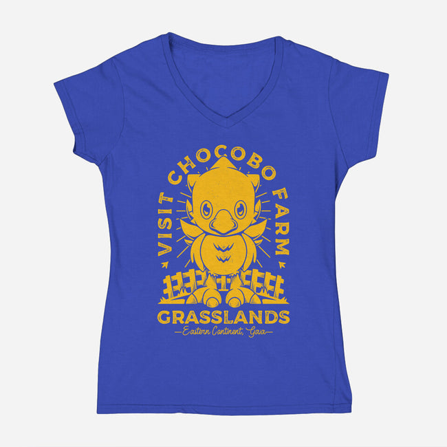Grasslands Area Farm-womens v-neck tee-Alundrart
