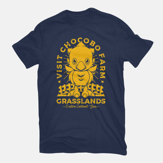Grasslands Area Farm-womens basic tee-Alundrart