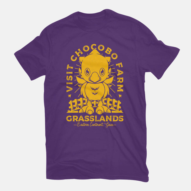 Grasslands Area Farm-womens basic tee-Alundrart
