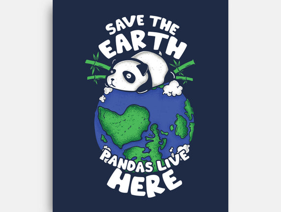 Pandas Live Here