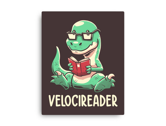 Velocireader