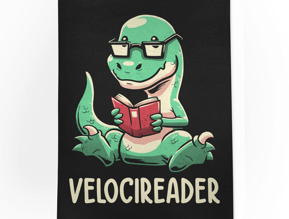 Velocireader