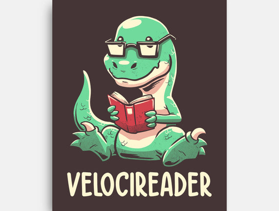 Velocireader