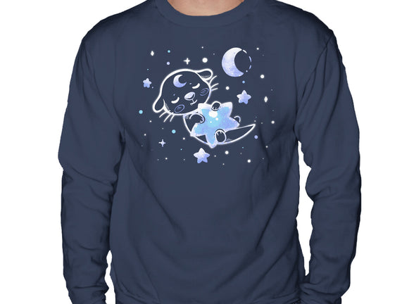 Otter In The Stars