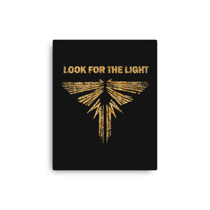 Looking For The Light