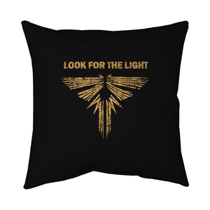 Looking For The Light