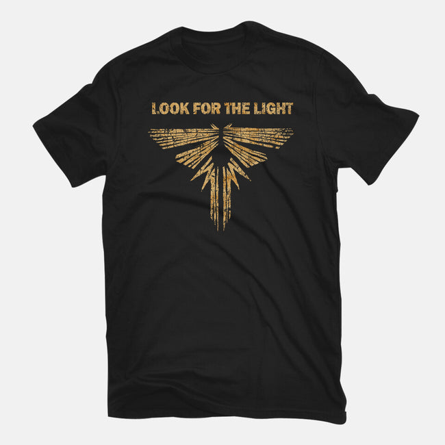 Looking For The Light-mens heavyweight tee-kg07