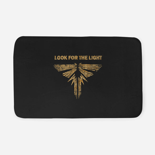 Looking For The Light-none memory foam bath mat-kg07