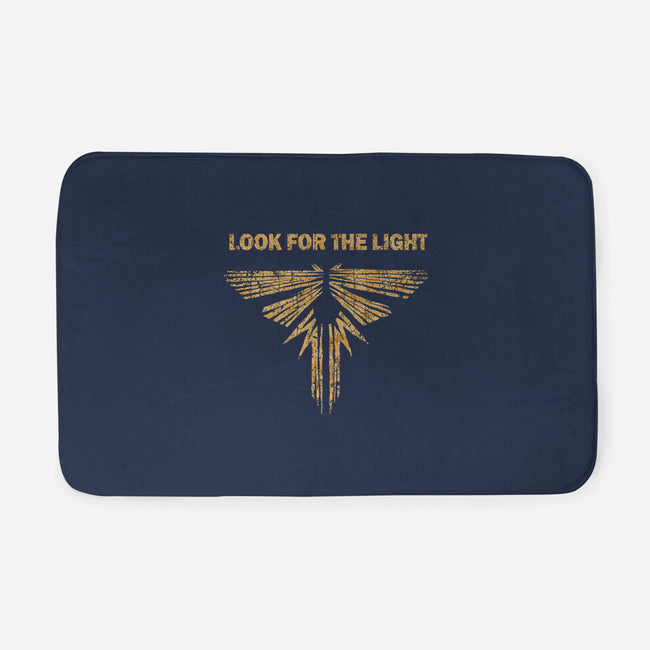 Looking For The Light-none memory foam bath mat-kg07