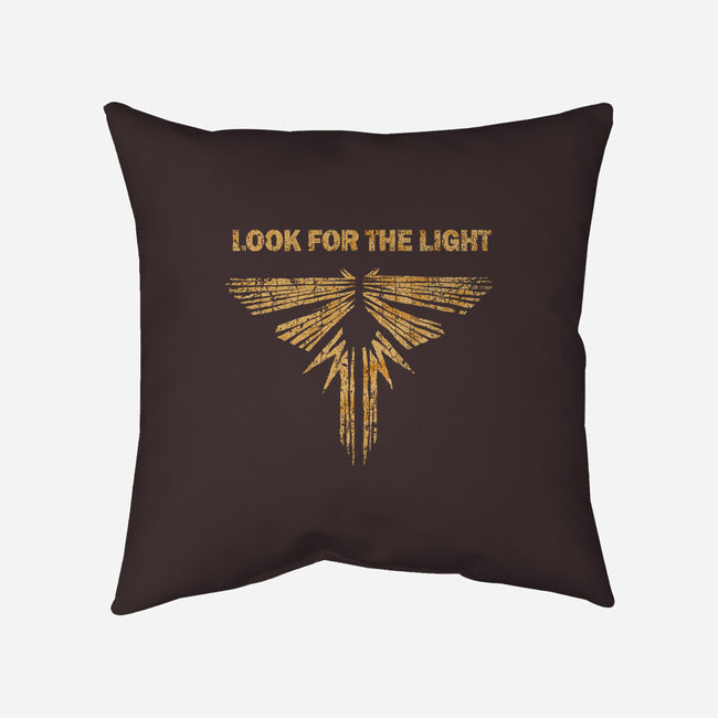 Looking For The Light-none removable cover w insert throw pillow-kg07