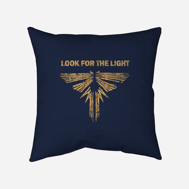 Looking For The Light-none removable cover w insert throw pillow-kg07