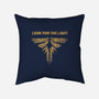 Looking For The Light-none removable cover w insert throw pillow-kg07