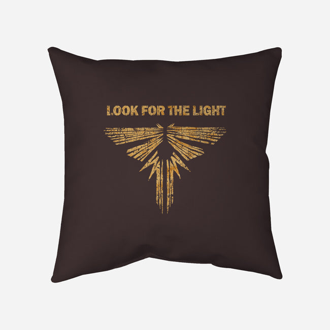 Looking For The Light-none removable cover throw pillow-kg07
