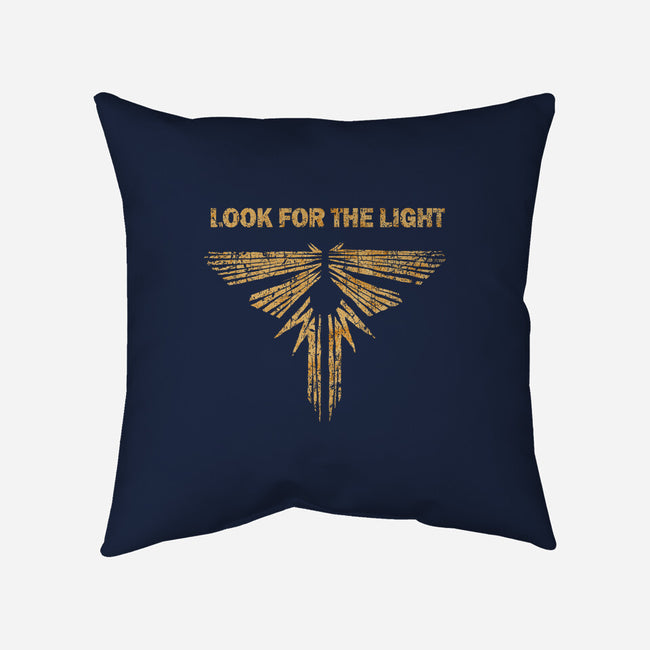 Looking For The Light-none removable cover throw pillow-kg07