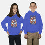 Fast Flying Fox-youth pullover sweatshirt-Aarons Art Room