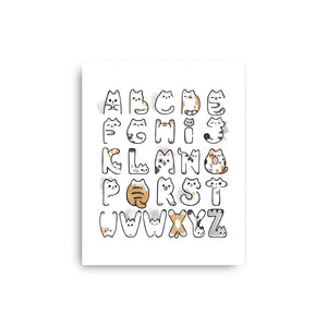 Cat Alphabet