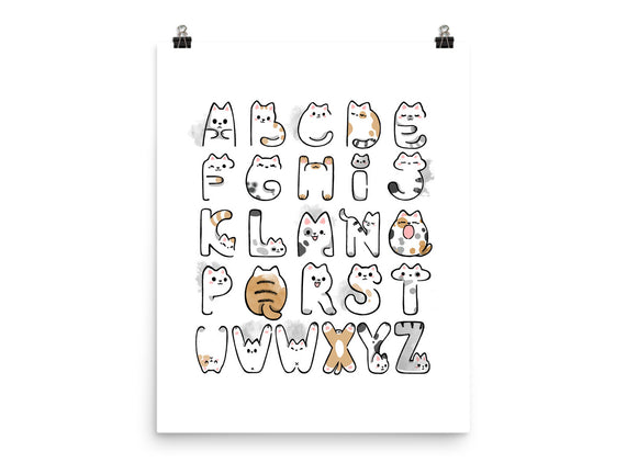 Cat Alphabet