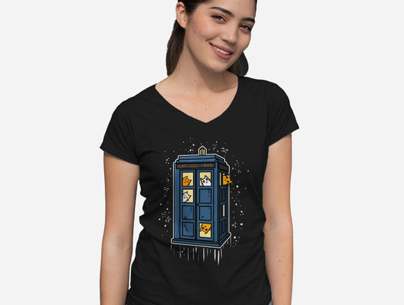 Cat Time Travel