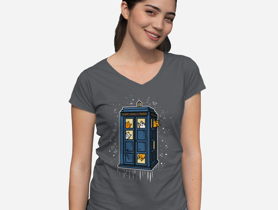 Cat Time Travel