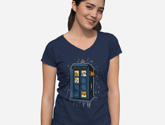 Cat Time Travel