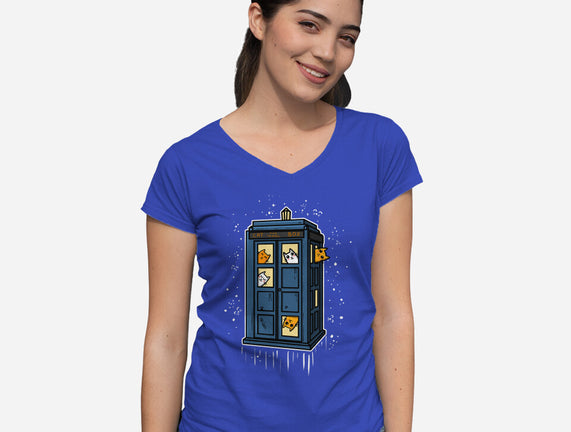 Cat Time Travel