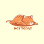 Not Happening Today-none polyester shower curtain-fanfreak1