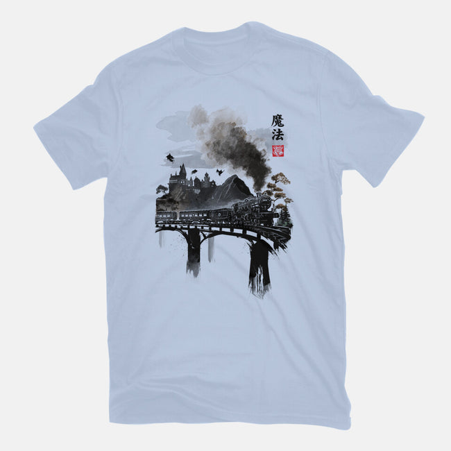 Train To School Of Magic-mens heavyweight tee-DrMonekers