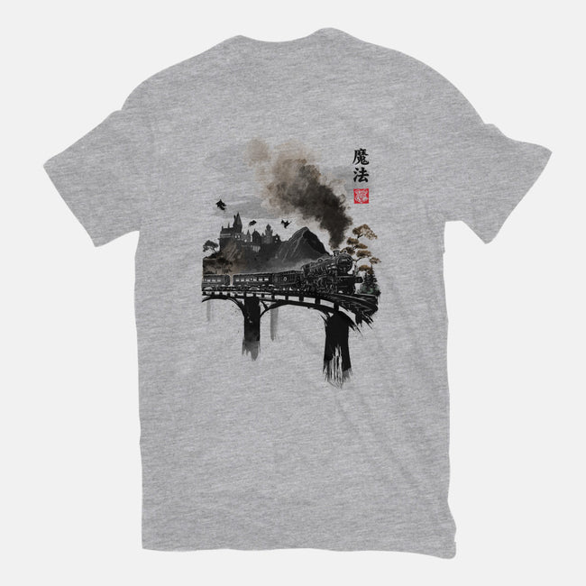 Train To School Of Magic-mens heavyweight tee-DrMonekers