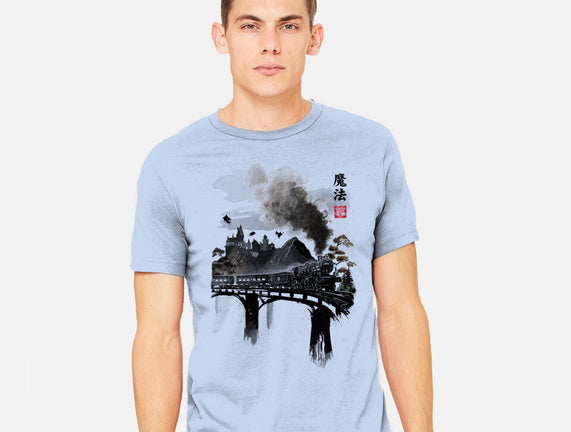 Train To School Of Magic
