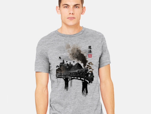 Train To School Of Magic