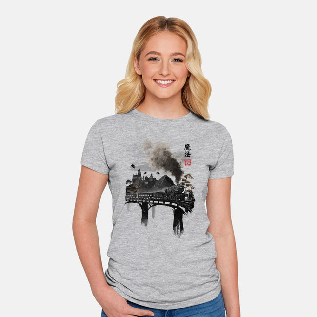 Train To School Of Magic-womens fitted tee-DrMonekers