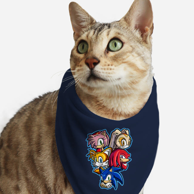 Speed Family-cat bandana pet collar-nickzzarto