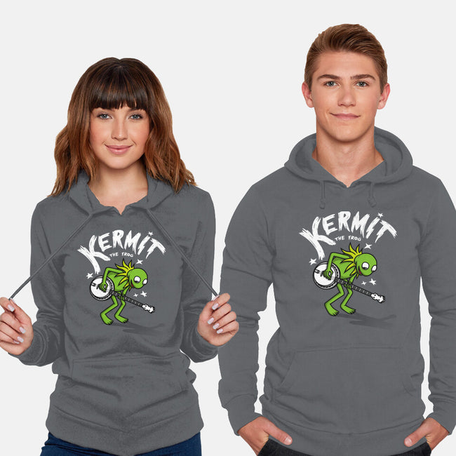 Banjoist Frog-unisex pullover sweatshirt-Raffiti