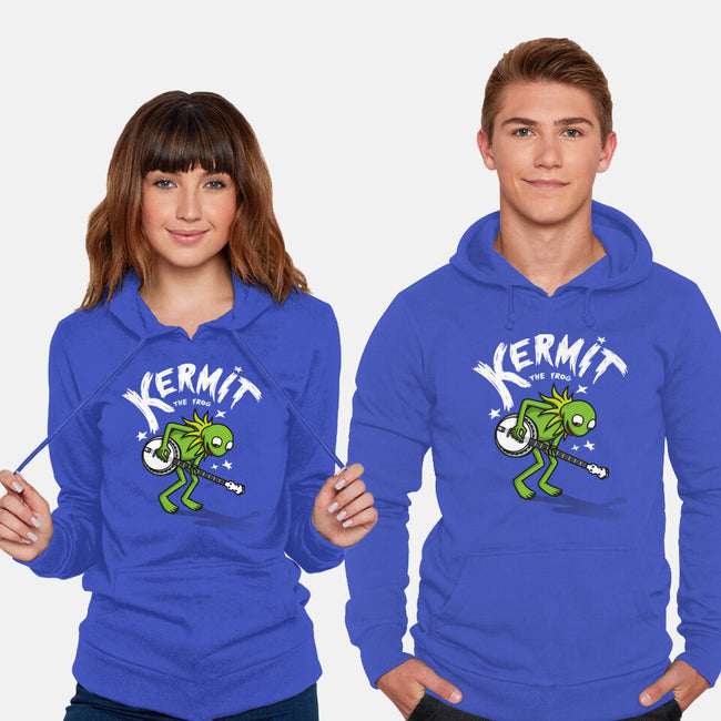 Banjoist Frog-unisex pullover sweatshirt-Raffiti