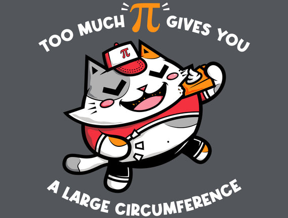 Too Much Pi