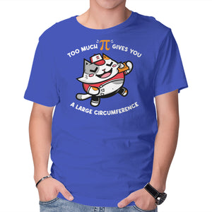 Too Much Pi