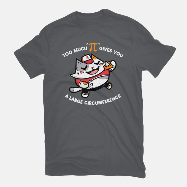 Too Much Pi-womens fitted tee-krisren28
