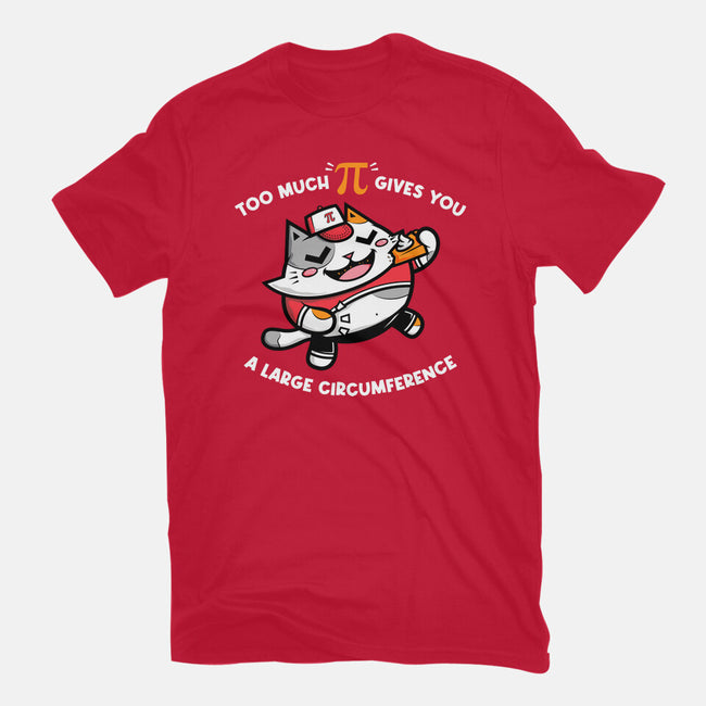 Too Much Pi-womens fitted tee-krisren28