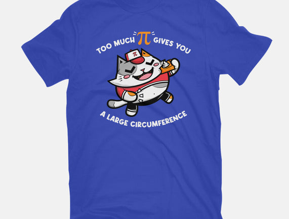 Too Much Pi