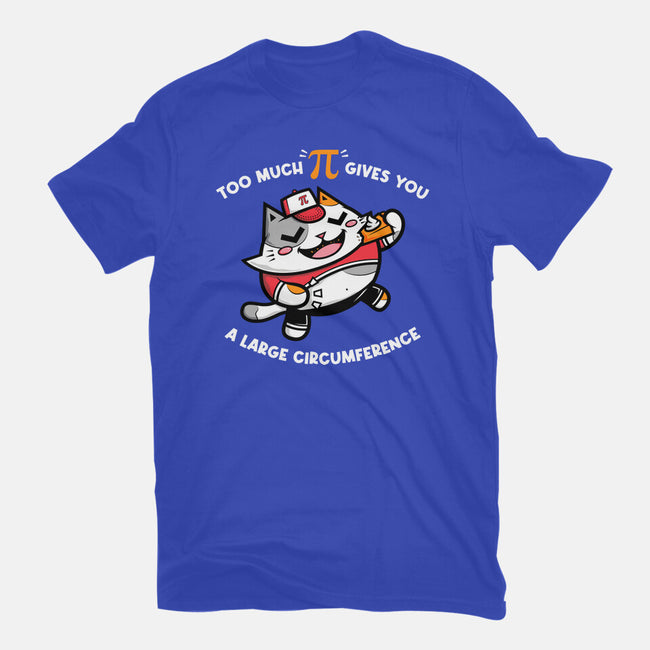 Too Much Pi-womens fitted tee-krisren28