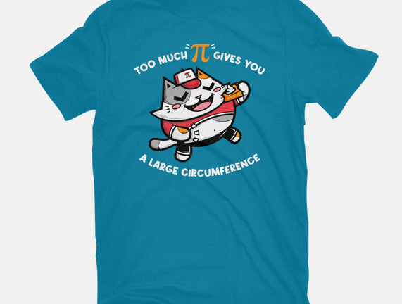 Too Much Pi