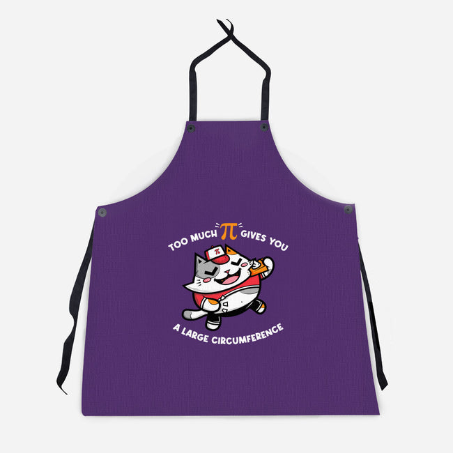 Too Much Pi-unisex kitchen apron-krisren28