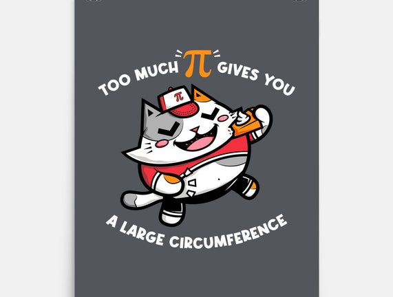 Too Much Pi