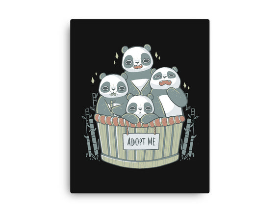 Adopt A Panda