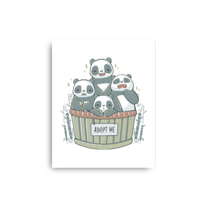Adopt A Panda