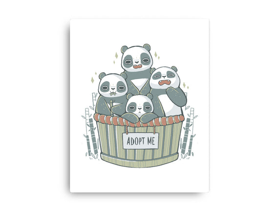 Adopt A Panda