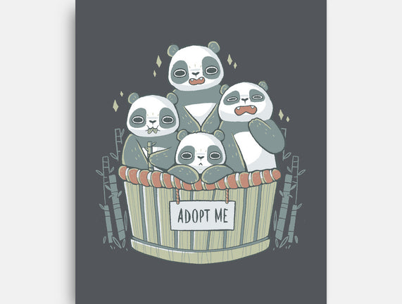 Adopt A Panda
