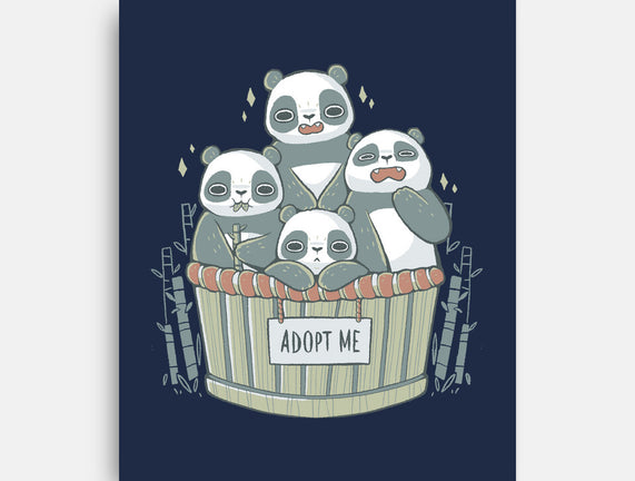 Adopt A Panda